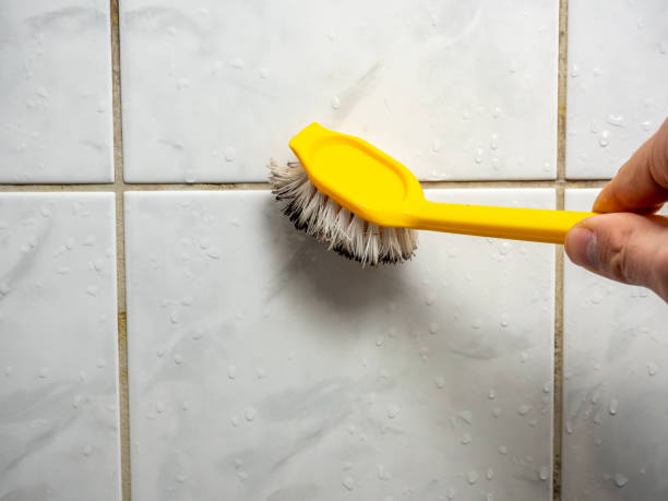 Best Bathroom Mold Remediation in Tainter Lake, WI