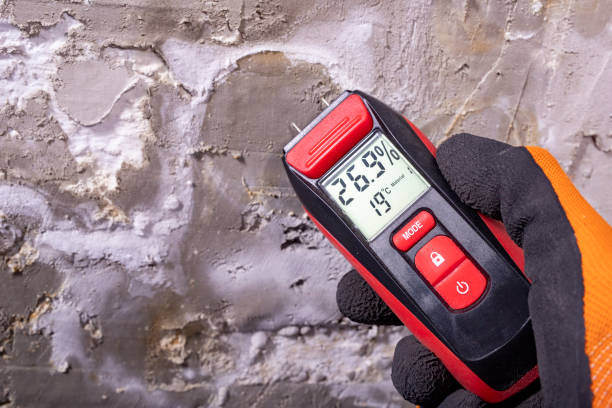 Best Industrial Mold Remediation in Tainter Lake, WI