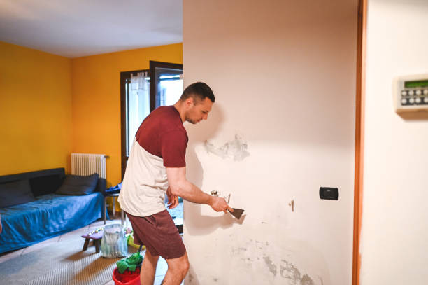 Best Post-Flood Mold Remediation in Tainter Lake, WI